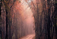 开云体育：足总秘书长：归化Perry Ng工作正进行 雄狮今年力争亚洲杯资格.