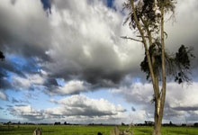 英超联赛：利物浦以2比2踢和富勒姆.