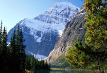 开云体育:新星张子宇入选中国女篮短训营.