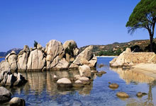 开云体育：哈利伯顿助溜马复仇凯尔特人 魔术逆转胜网队.